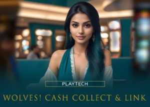 plt_wolves_cash_collect__link-300x214